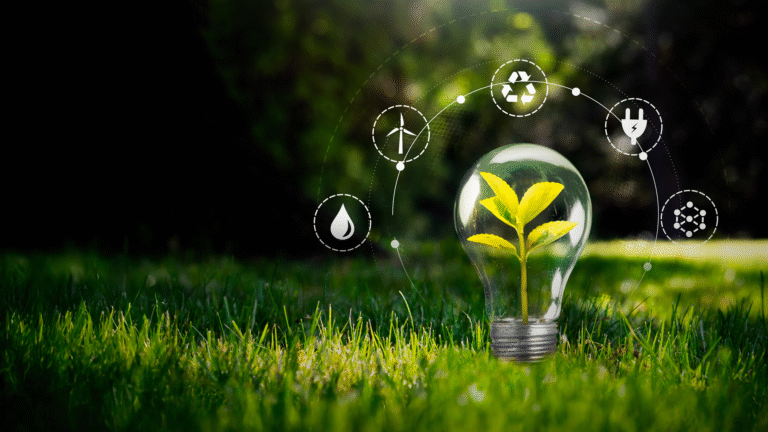 Ogłaszamy IV rundę naboru