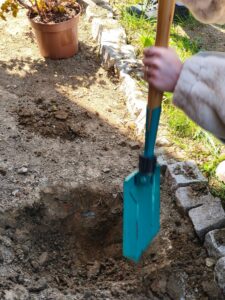 Osoba kopiąca dół w ziemi łopatą w ogrodzie.